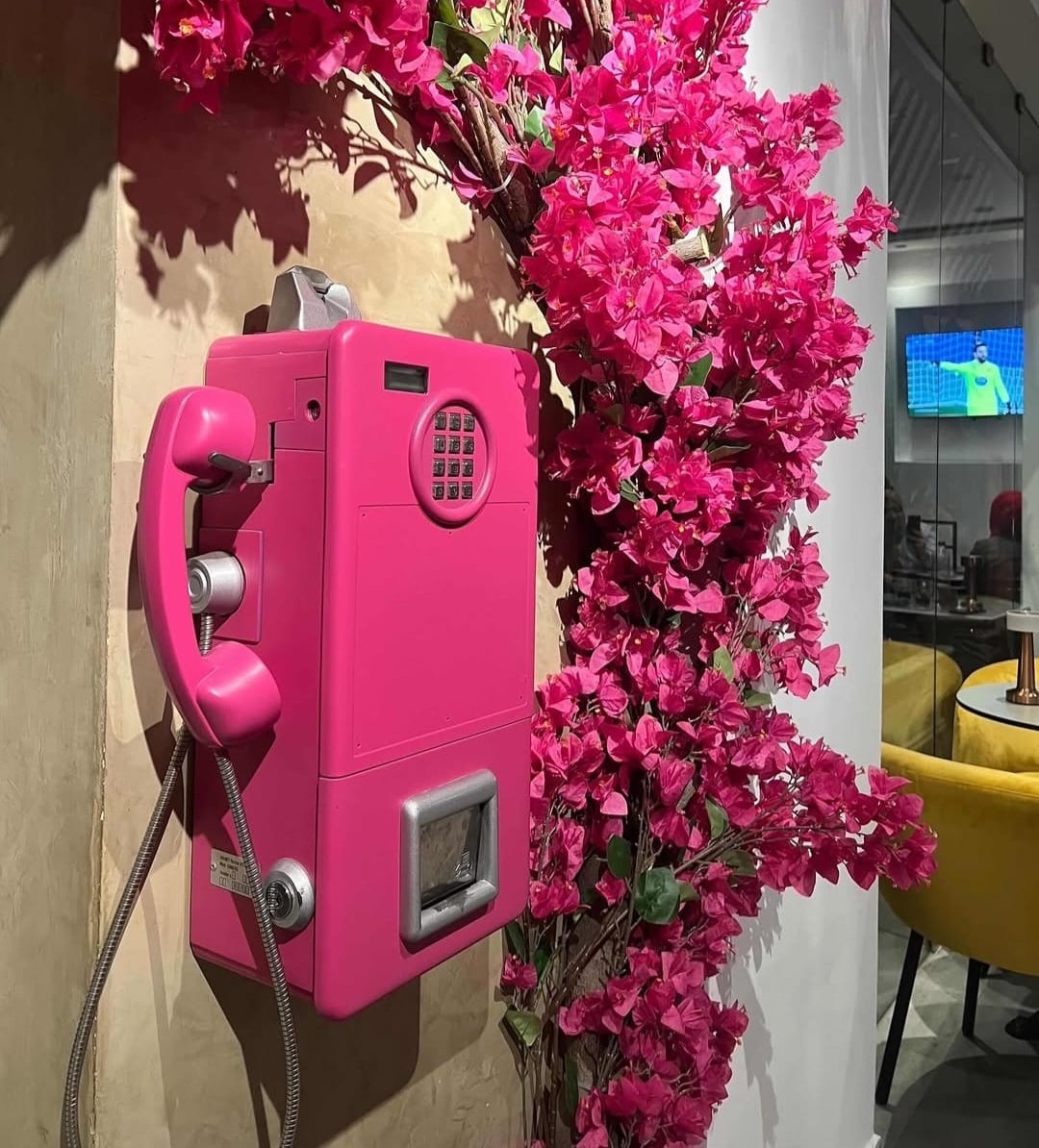 The Garden — gallery